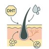 Fights All Causes of Hair Loss
