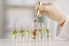stem Cell Technology
