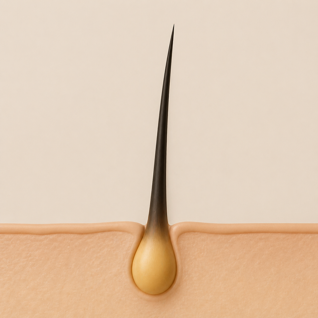 Haargroei stimuleren: de beste tips voor voller haar