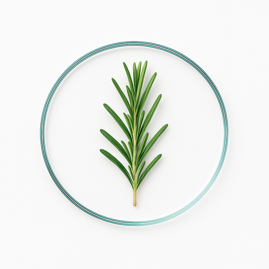 Rosemary Oil